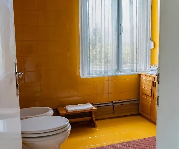 Apartma Jansa * ブレッド